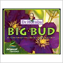 Big Bud Big Bud